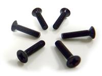 31060 Flat Head Screws 3X14 6P: E10XB / E10SC / E10XT / E10MT / E10XBL / E10SCL / E10XTL / E10MTL